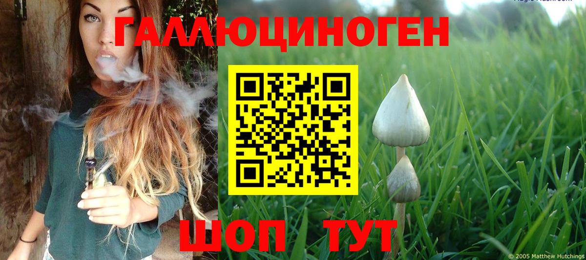 Воркута  Галлюциногенные грибы мицелий  Вход с VPN  Галлюциногенные грибы ЛСД 